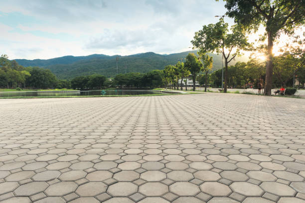 Reliable Carrizo Hill, TX Driveway Pavers Solutions