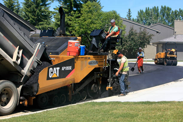 Best Decorative Driveway Pavers  in Carrizo Hill, TX